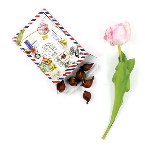 Bulbes de fleurs en tant que mailing - image 2